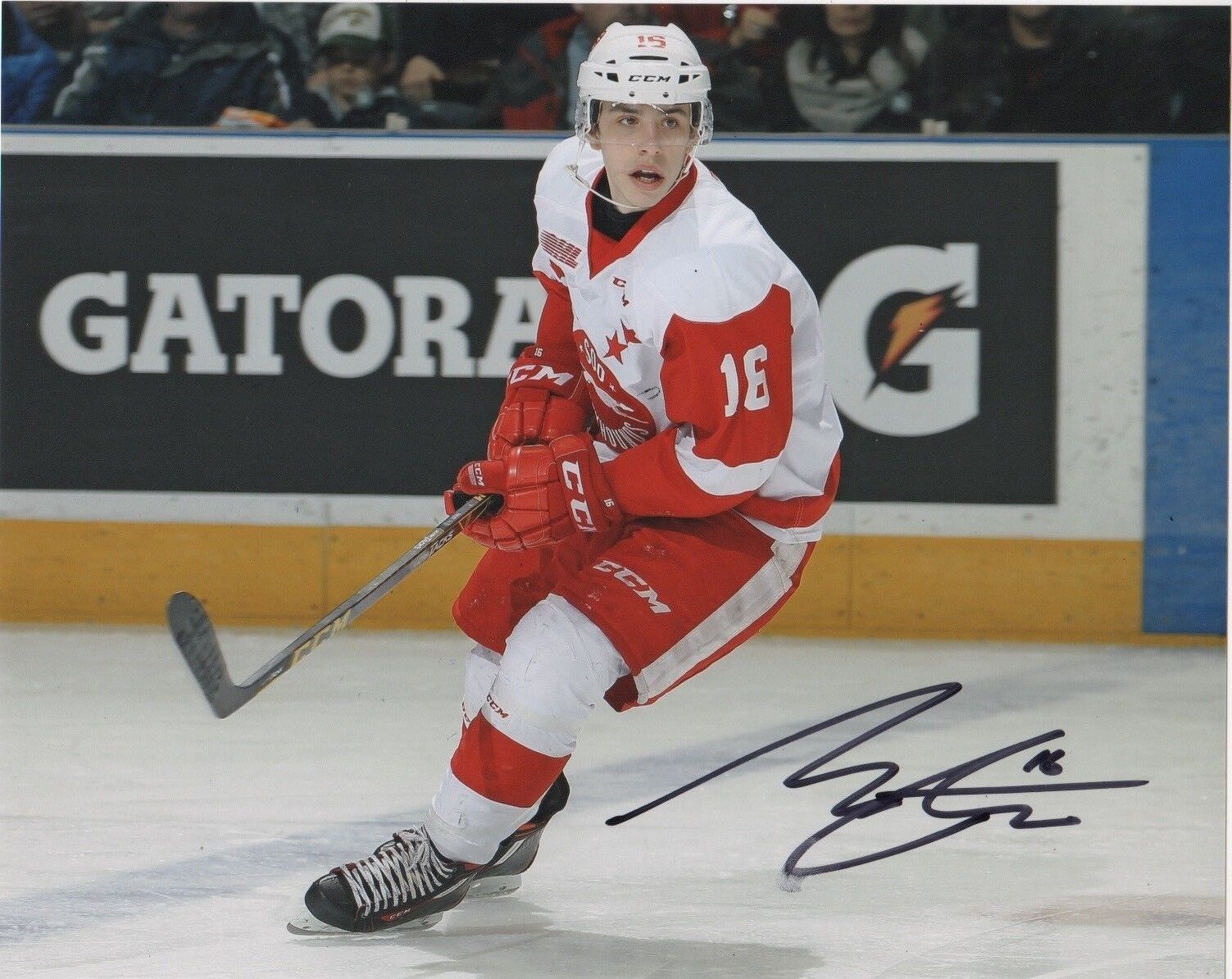 Sault Ste. Marie Greyhounds Morgan Frost Autographed Signed 8x10 Photo Poster painting COA A