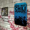 Red Hot Chili Peppers - Metal Tin Signs(8*12Inch/12*16Inch)