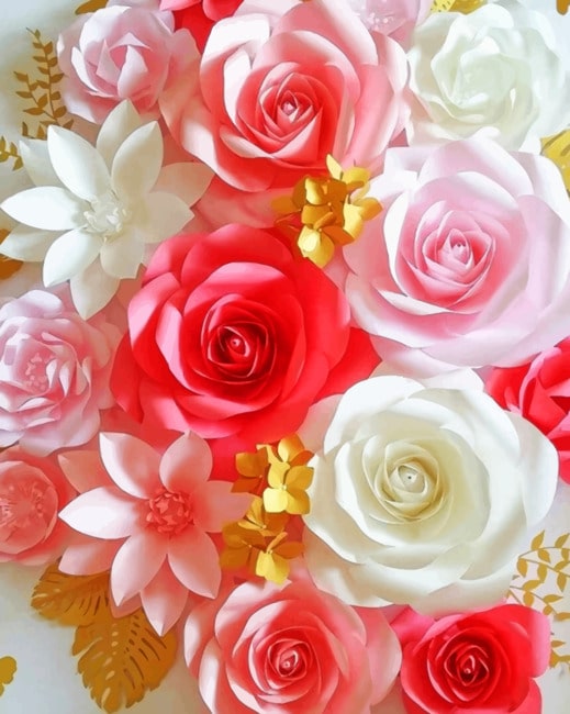 

White And Pink Flowers – Paint By Numbers - 40*50CM, 501 Original