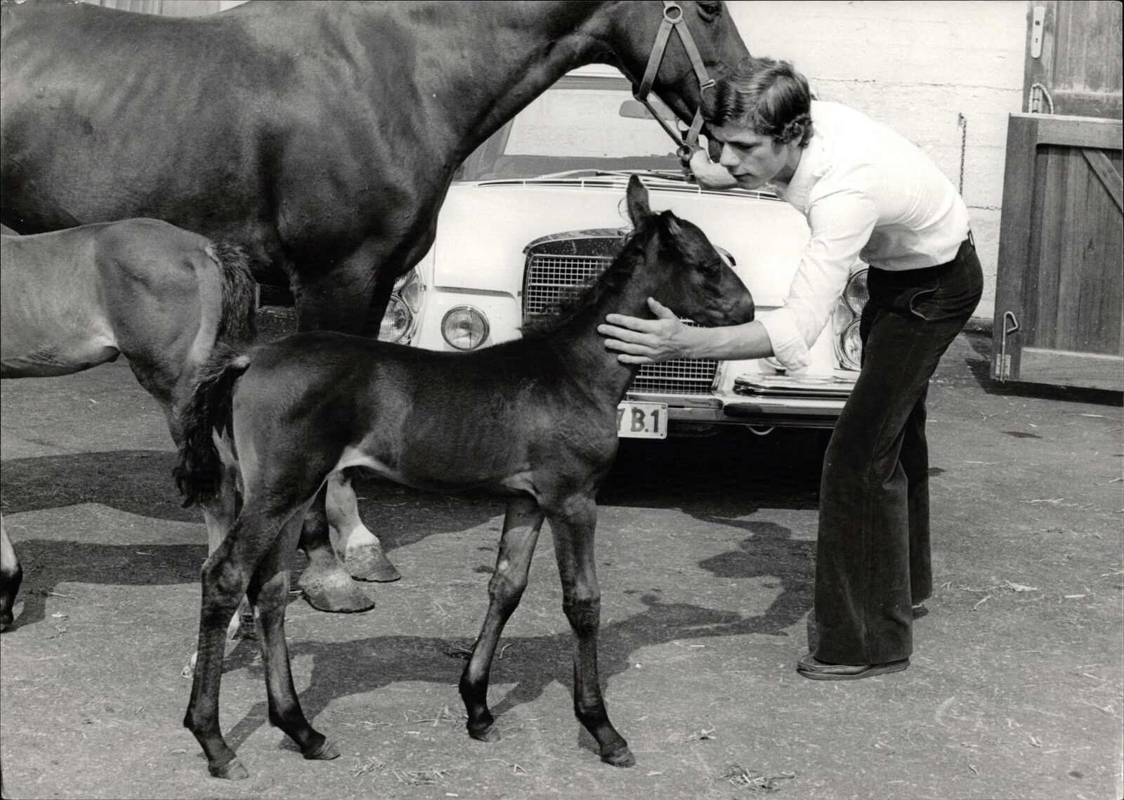 Heintje With Pferd And Foal - Vintage Press Photo Poster painting Norbert Unfried (U-3846