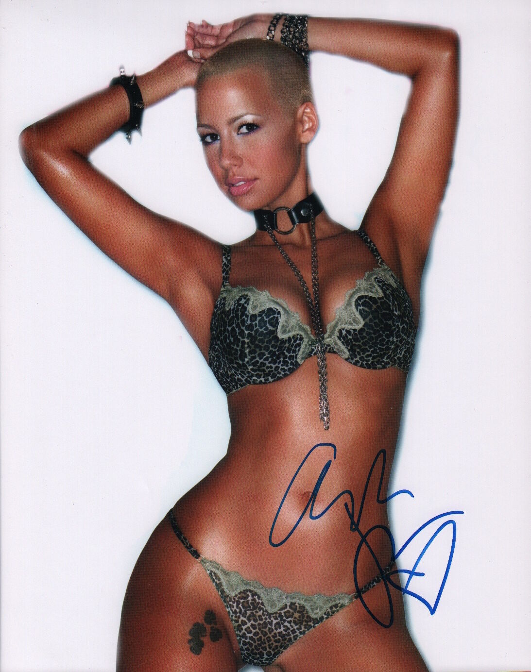 Amber Rose signed 11x14 Photo Poster painting