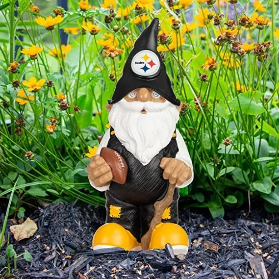 Pittsburgh Steelers Box