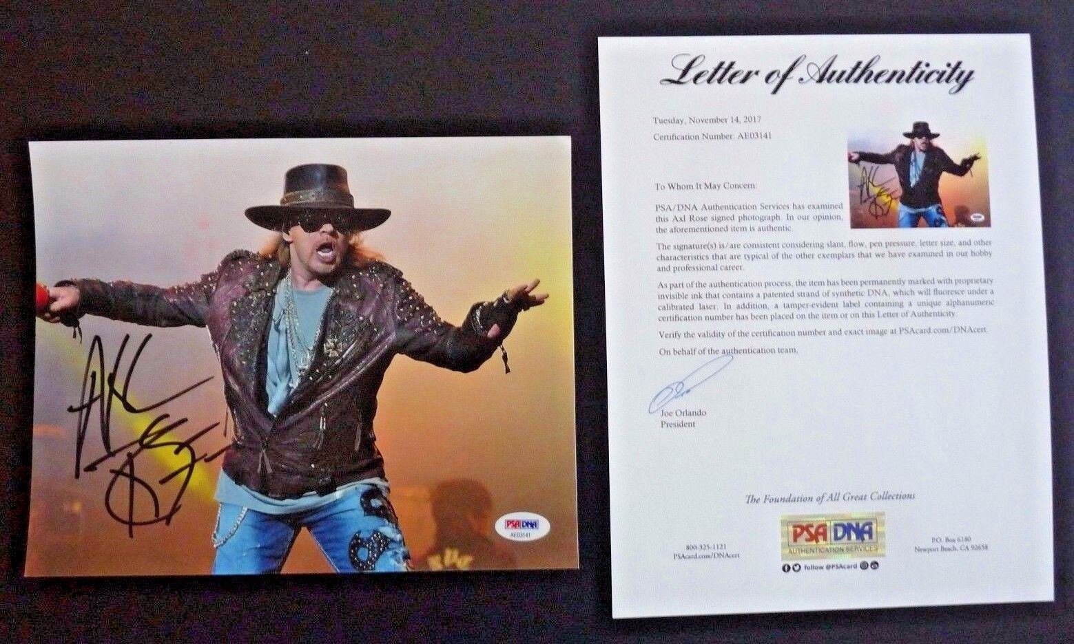 Axl Rose Guns & Roses Signed Autographed 8x10 Live Photo Poster painting PSA Certified #3