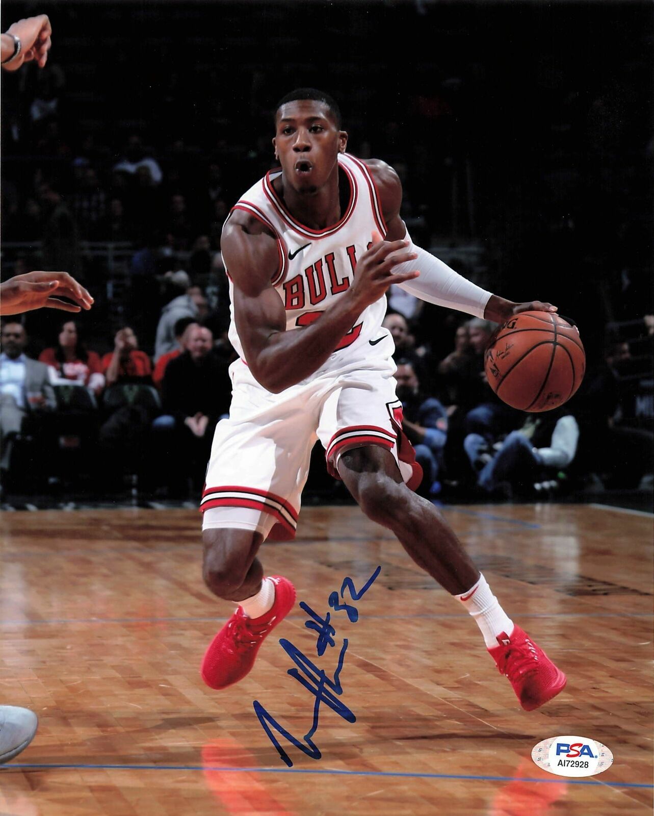 KRIS DUNN signed 8x10 Photo Poster painting PSA/DNA Chicago Bulls Autographed