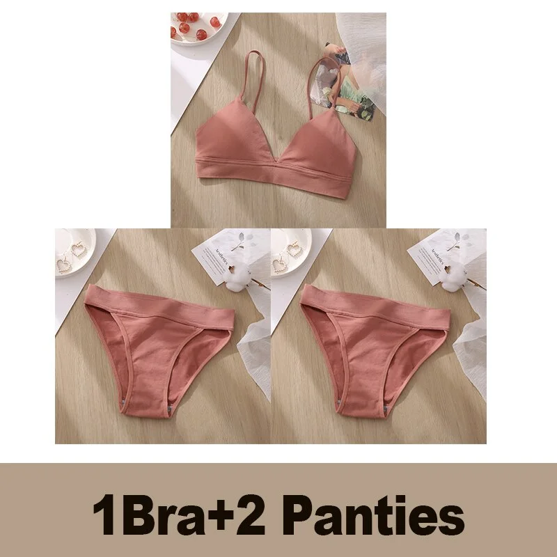 Bra Set Women's Underwear Push Up Bras Sexy Bralette Seamless Brassiere Gather Padded Female Wirefree Intimates Lingerie 2/3PCS