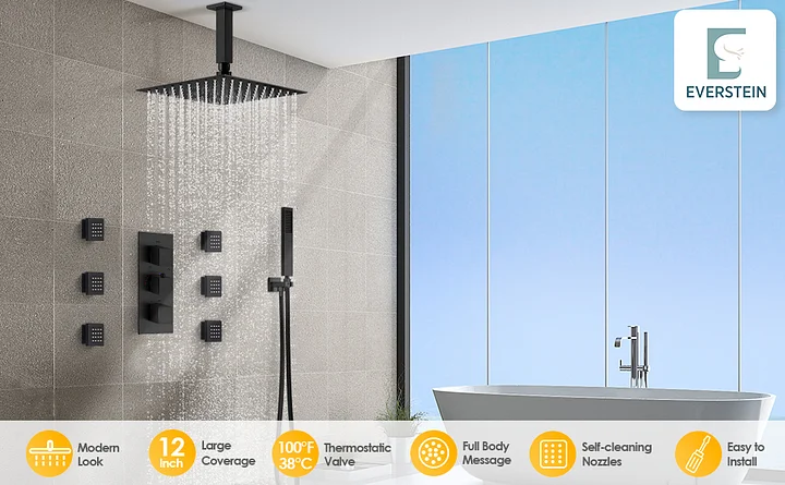 EVERSTEIN SFS-1022-BK5 ThermaGlow Thermometer Shower Head: Water-Powered Fahrenheit Display, Child and Pet Showers Finish: Matte Black