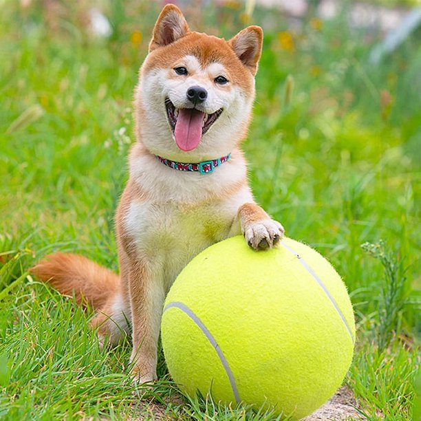 Giant Tennis Dog Ball