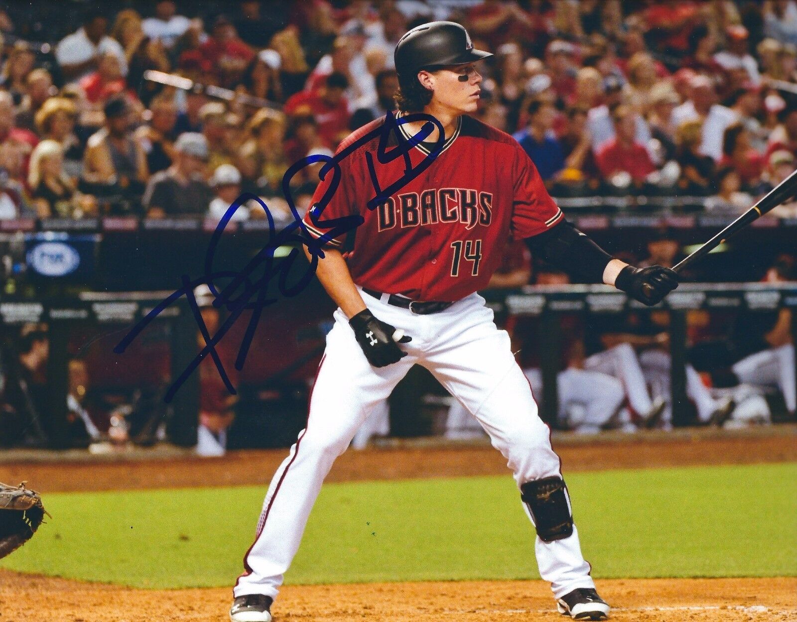 Autographed PETER O'BRIEN Arizona Diamondbacks 8x10 Photo Poster painting w/ COA