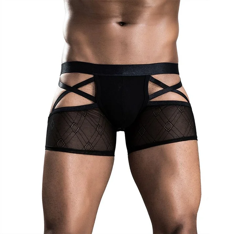Mens Sexy Panty Lingerie For Christmas-elleschic