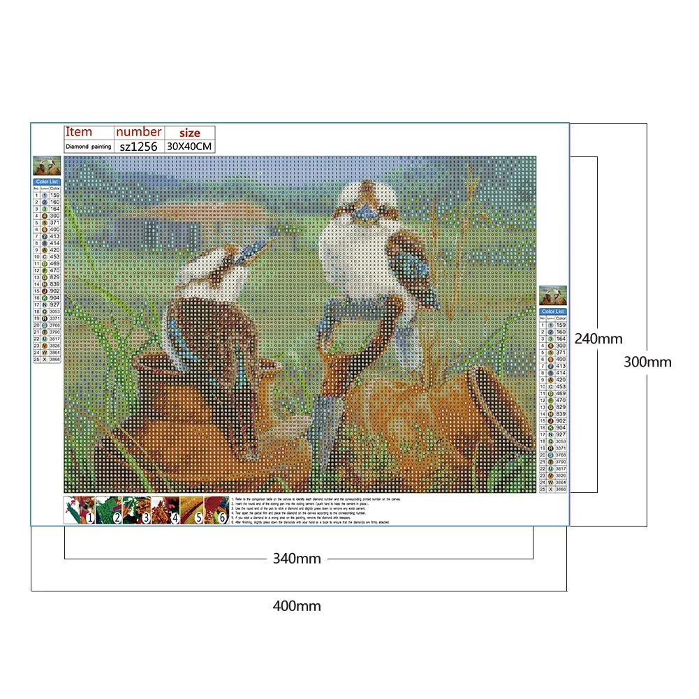 Diamond Painting - Full Round Drill - Bird(40*30cm)