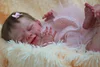 Babiesprincess Lifelike Reborn Baby Doll, Babiesprincess
