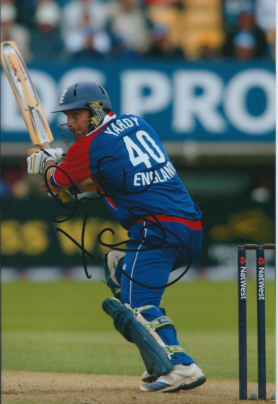 Michael YARDY Signed Autograph 12x8 Photo Poster painting AFTAL COA England CRICKET Sussex