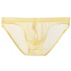 Low Waist Mesh Ultra-thin Transparent Sexy Briefs