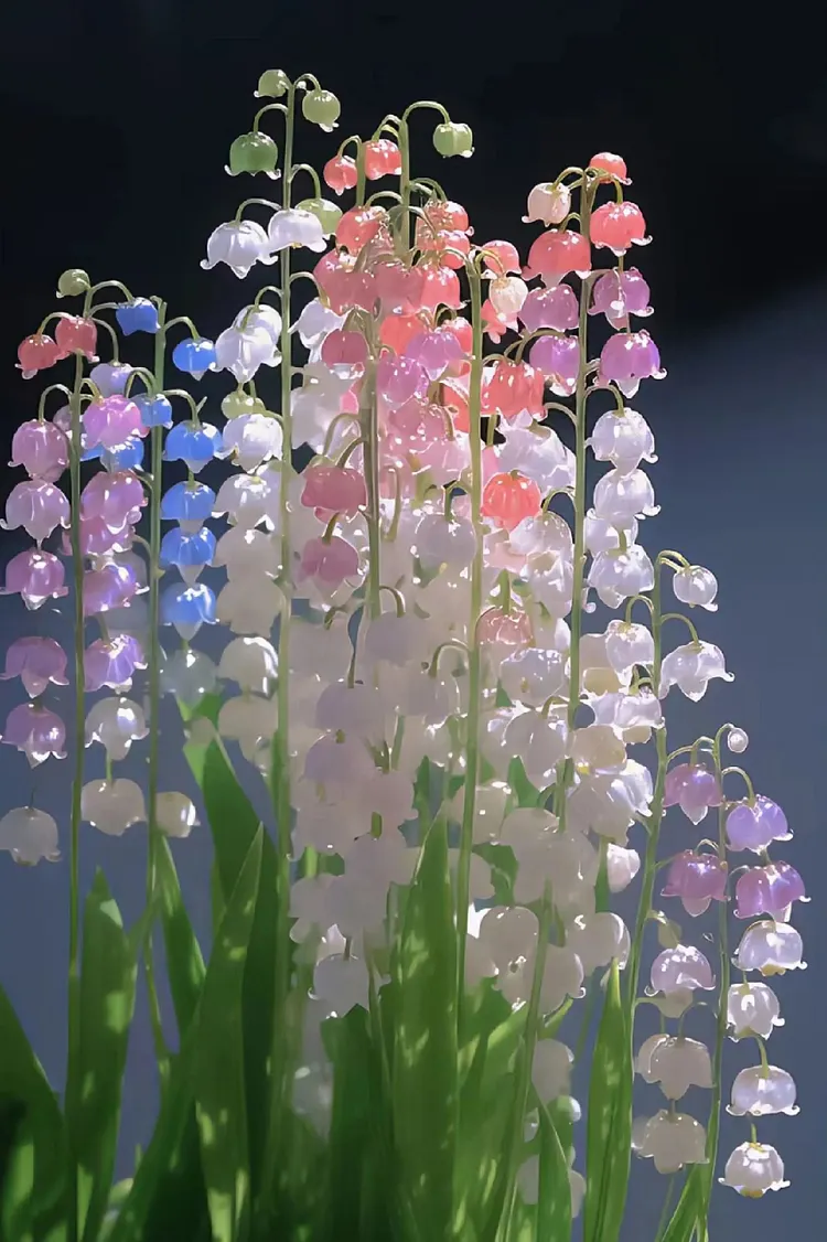 Multicolor Bell Orchid Seeds - crystal clear