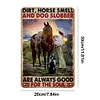 Girl - Vintage Metal Signs(8*12Inch/12*16Inch)  - Cowgirl