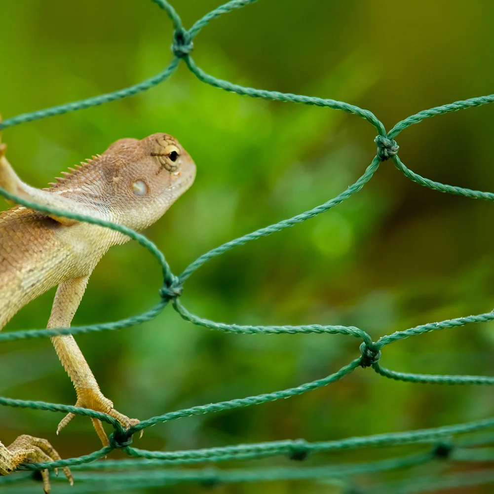 Garden Plants Climbing Netting Nylon Flower Vine Support Rope (1.8x2.7m)