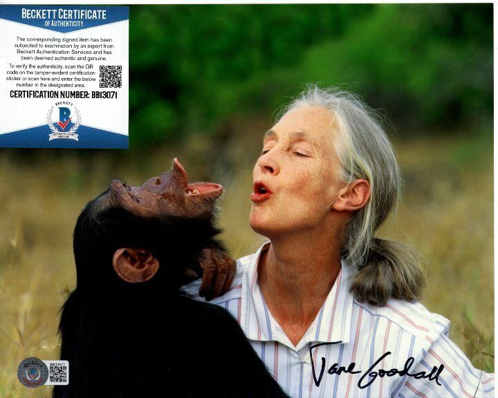 JANE GOODALL signed 8x10 Photo Poster painting Beckett BAS