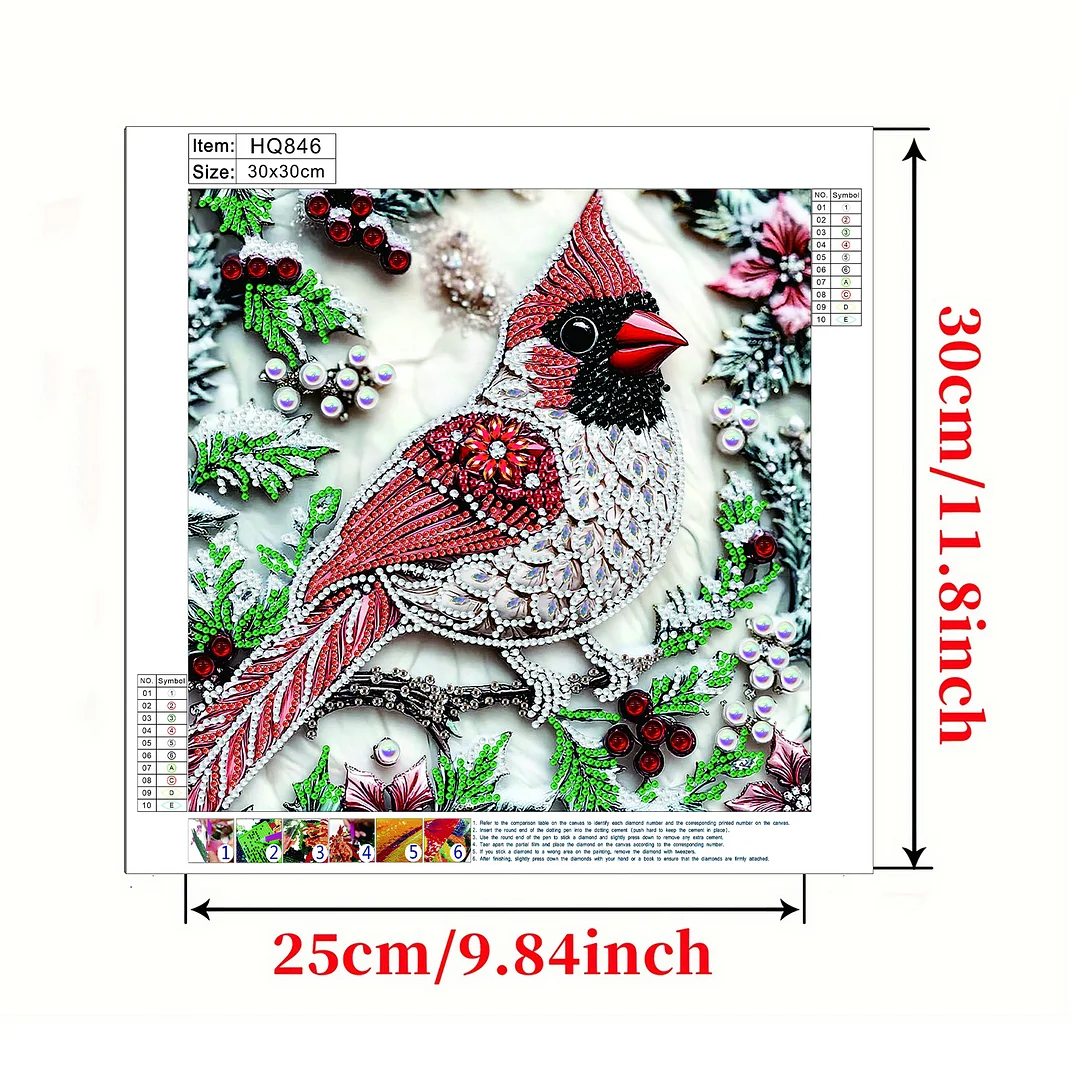 Cardinal - Partial Special Shaped Drill Diamond Painting Kits (Canvas|30*30cm)