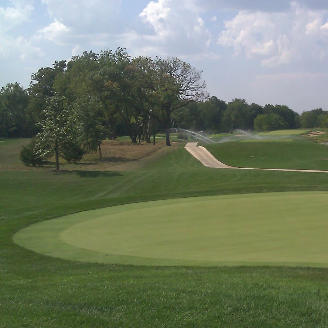 T-1 Creeping Bent Grass