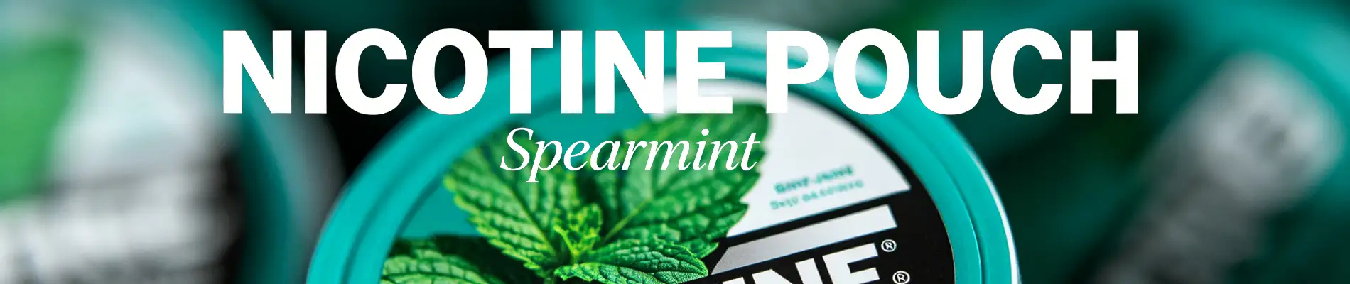 Spearmint