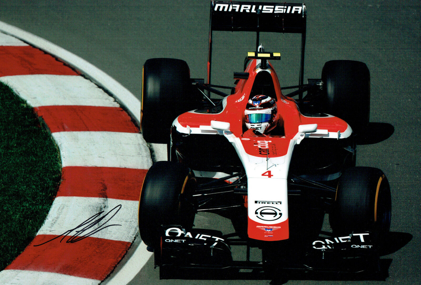 Max CHILTON SIGNED Marussia F1 Driver Autograph 12x8 Formula 1 Photo Poster painting AFTAL COA