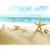 Beach Shells  | Full Round Diamond Painting Kits