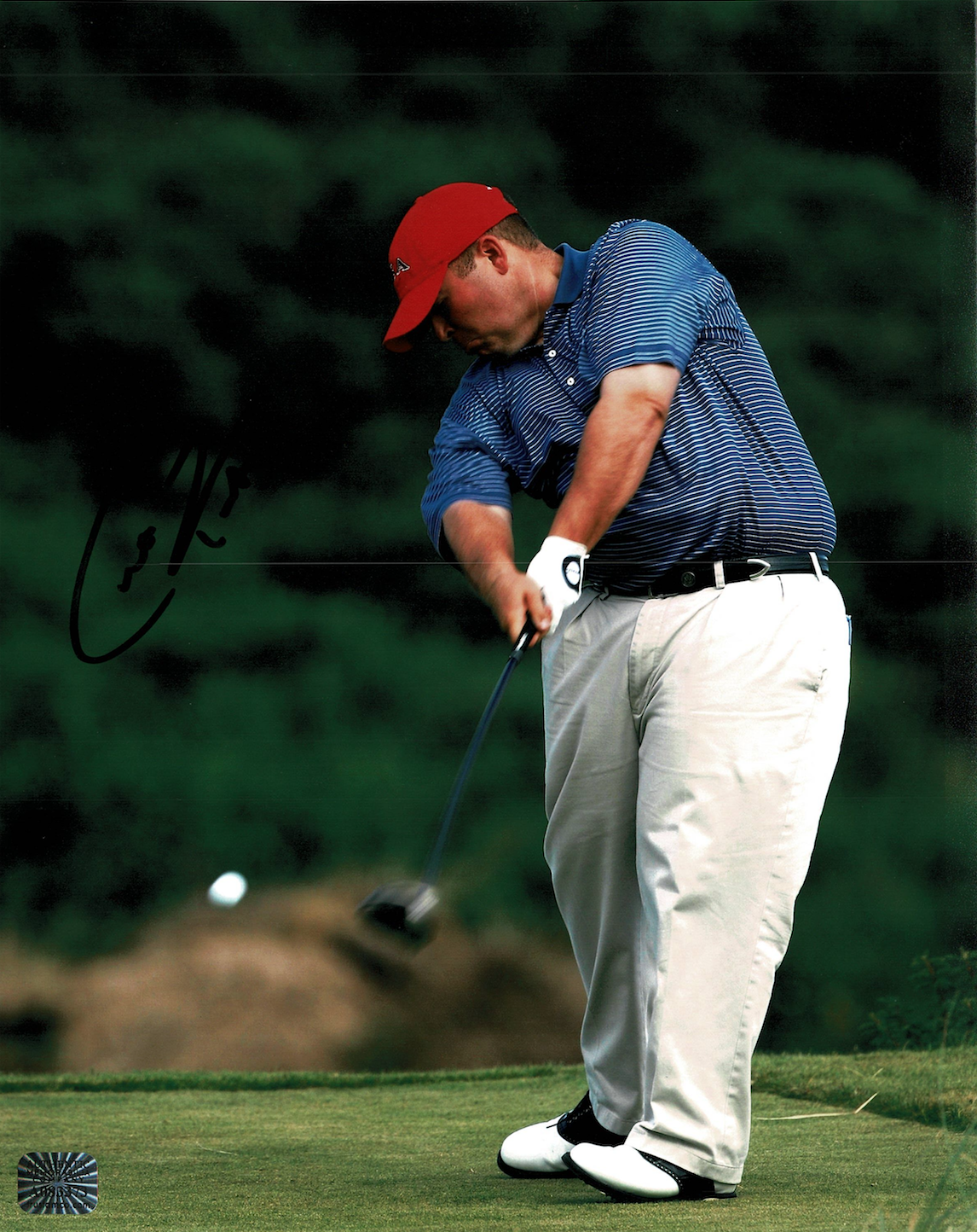 Colt Knost signed autographed 8x10 Photo Poster painting! RARE! AMCo Authenticated! 7474