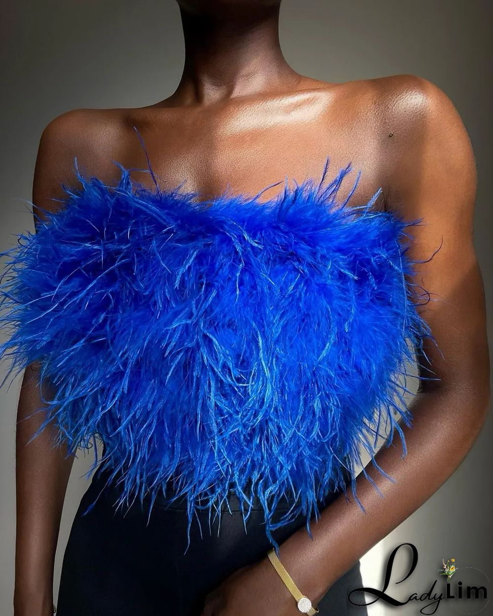 Brown Sexy Solid Patchwork Feathers Strapless Tops