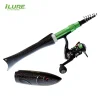 Fish-shaped lure rod, telescopic rod, recreational rod, portable fishing rod