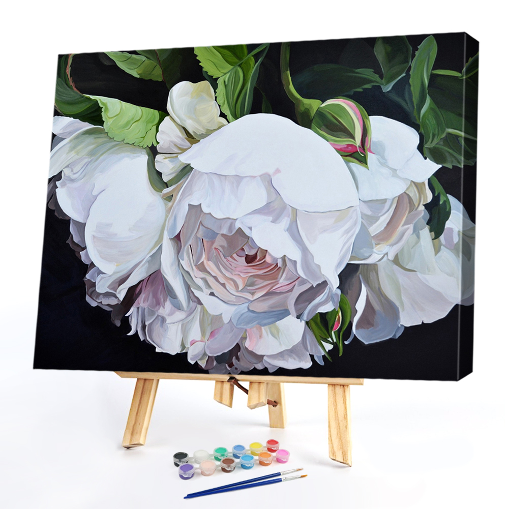 

40*50CM - Paint By Numbers - Flower, 501 Original