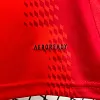 2024/2025 Bayern Munich Home Football Jersey 1:1 Thai Quality