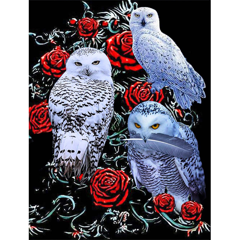 

Rose and Owls - 11CT Stamped Cross Stitch - 40*50CM, 501 Original