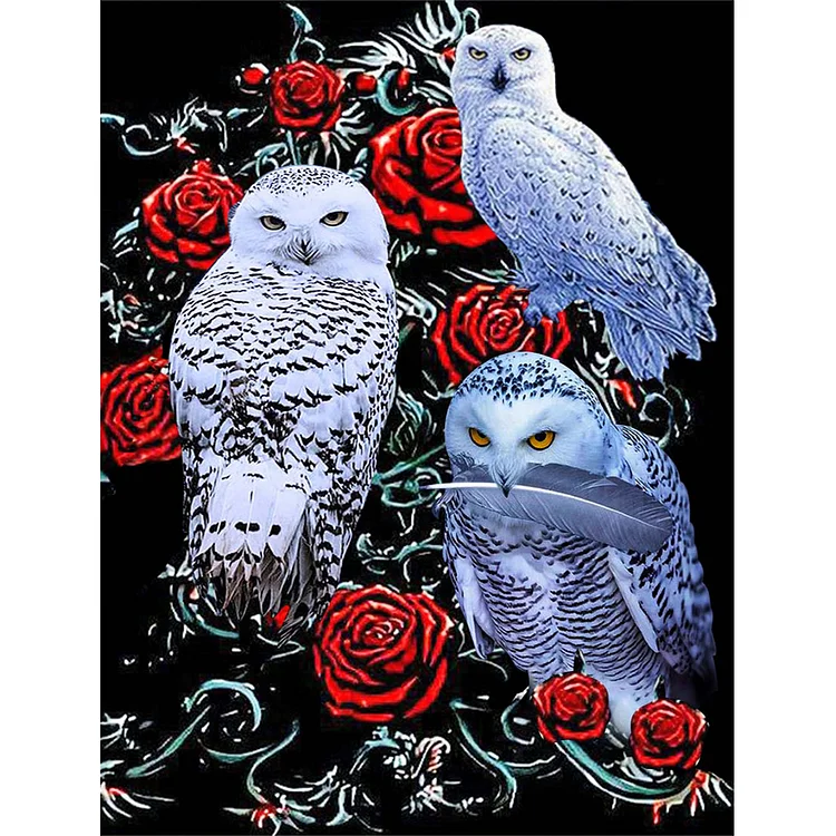 『DIY』Rose and Owls - 11 CT Stamped Cross Stitch(40*50cm)