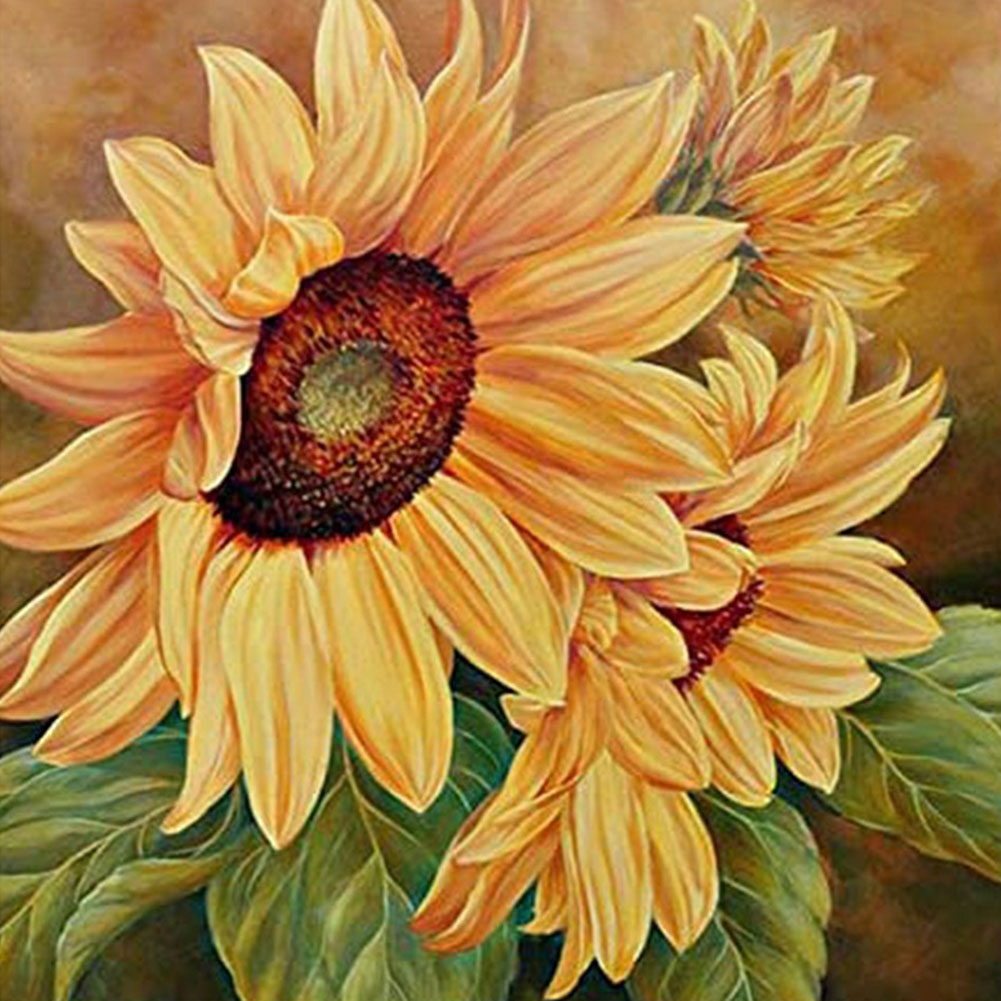 

Sunflower - Square Drill Diamond Painting - 40*40CM, 501 Original