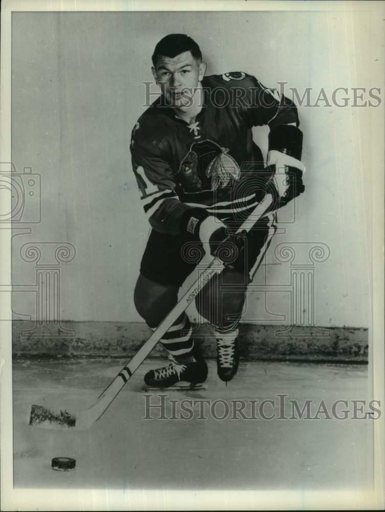 Press Photo Poster painting Stan Mikita, Hockey's Chicago Blackhawks Center - six01411