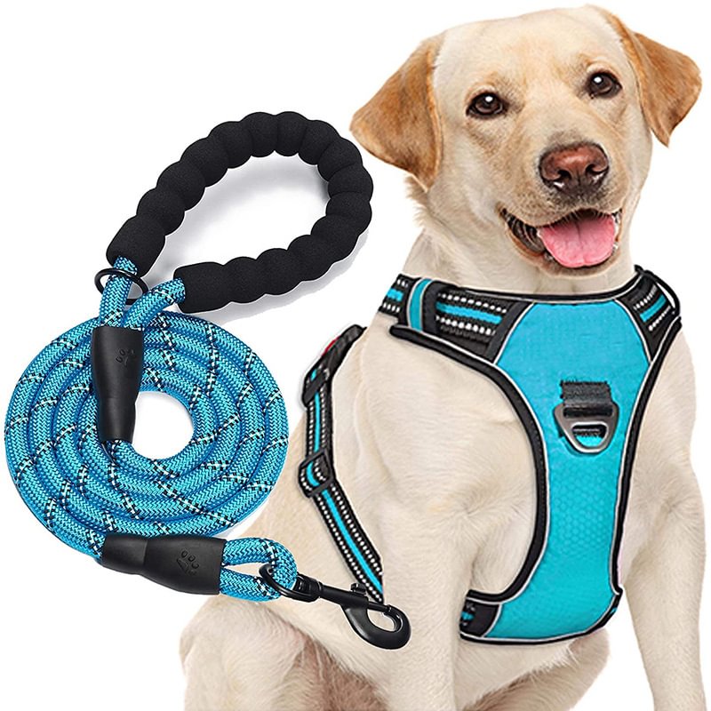 No Pull Dog Harness Adjustable Reflective Oxford Easy Control Medium Large Dog Harness with A Free Heavy Duty 5ft Dog Leash