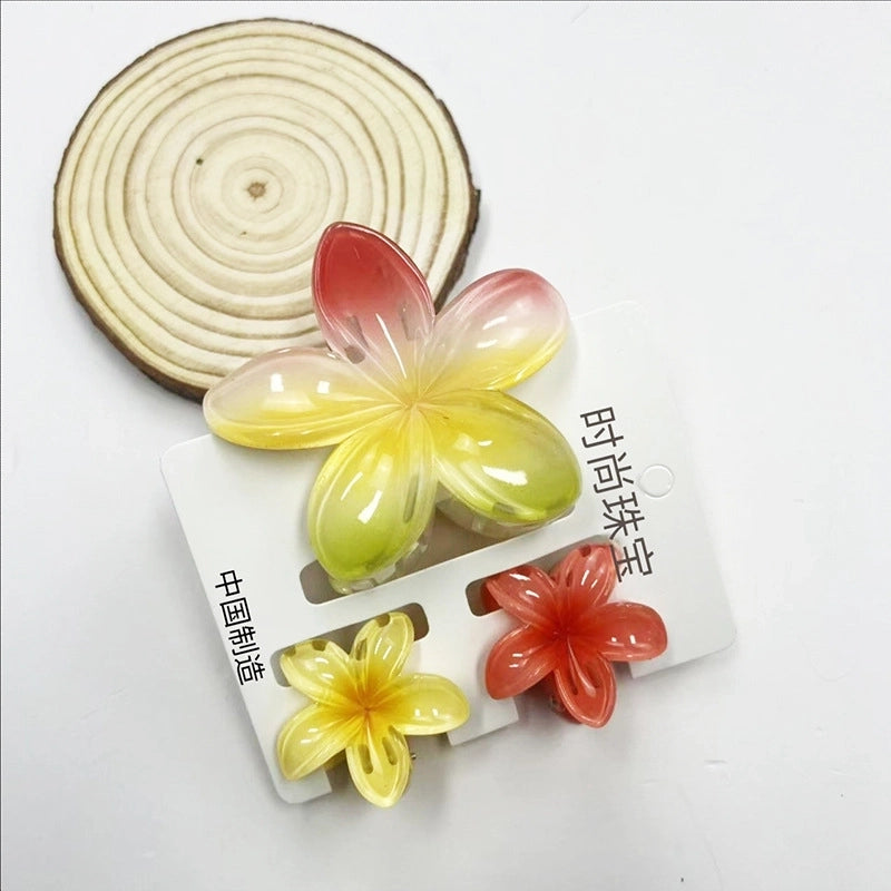 Vacation Modern Style Women’s Flower Resin Hair Claws