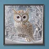 Crystal Owl-Special Shaped Diamond Painting