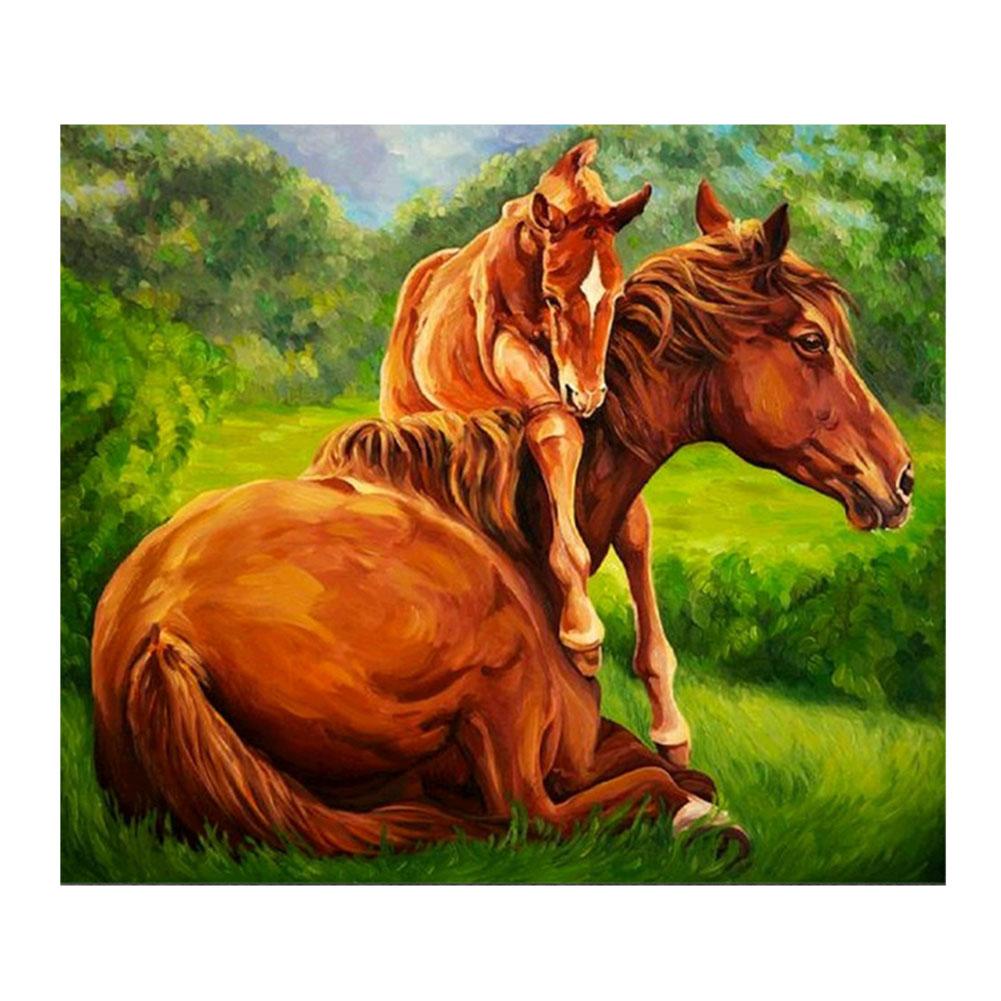 

34*30CM - Horse - Square Drill Diamond Painting, 501 Original