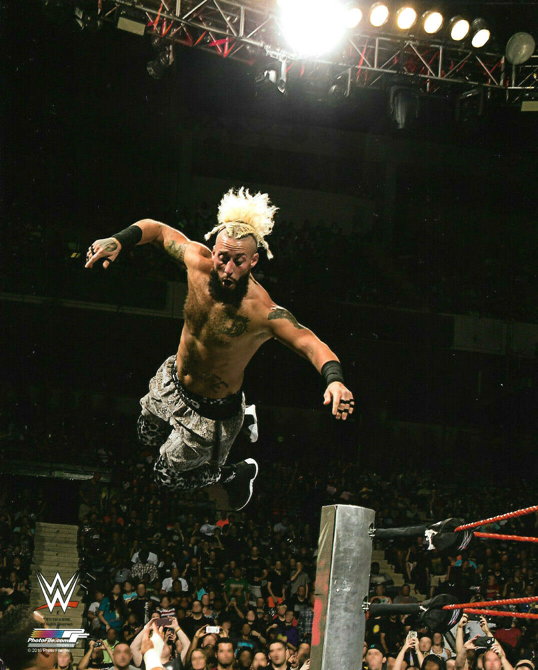 WWE NXT ENZO AMORE OFFICIAL LICENSED 8X10 AUTHENTIC Photo Poster paintingFILE Photo Poster painting 3