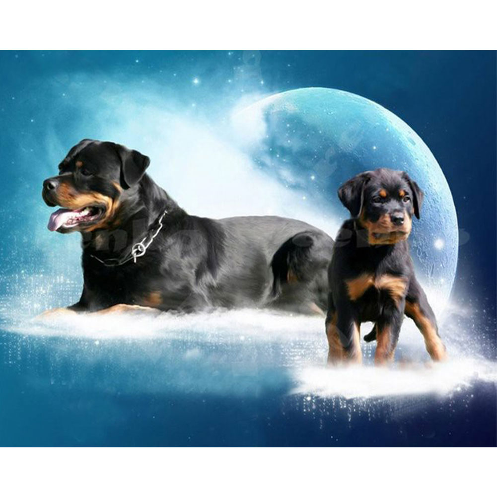 

Rottweiler - Round Drill Diamond Painting - 50*40CM, 501 Original