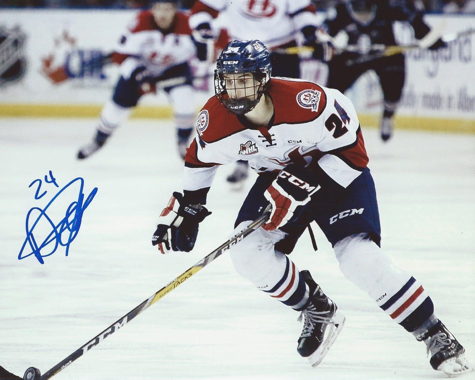 Dylan Cozens Signed 8x10 Photo Poster painting Lethbridge Hurricanes Autographed COA