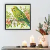 Perroquet-Peinture diamant en forme sp&eacute;ciale-30*30cm