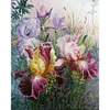 Blume - Rundbohrer Diamond Painting - 40*50cm