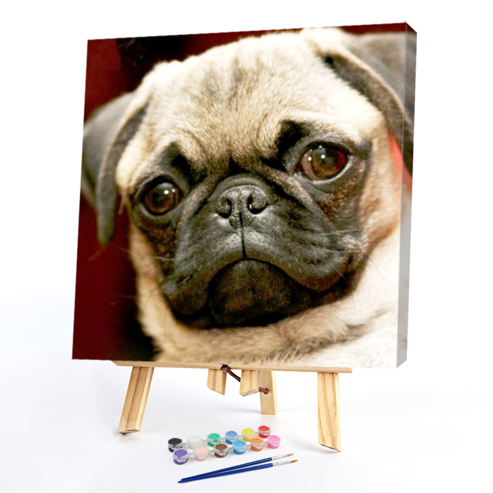 

40*40CM - Paint By Numbers - Dog, 501 Original