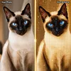 Custom Pet Diamond Painting Kit