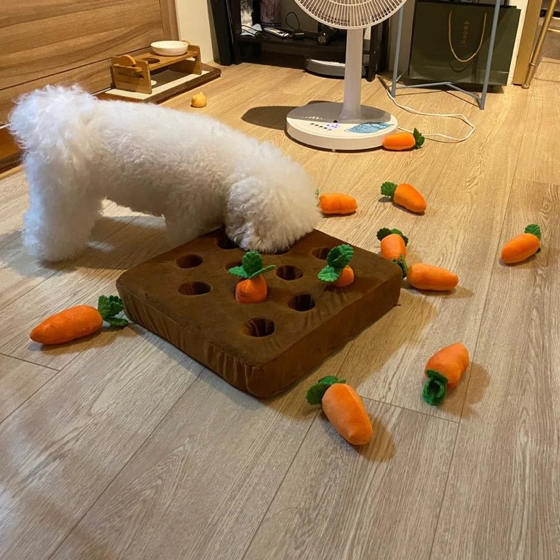 CARROT PLUSHIE - Enriches Your Dog's Life