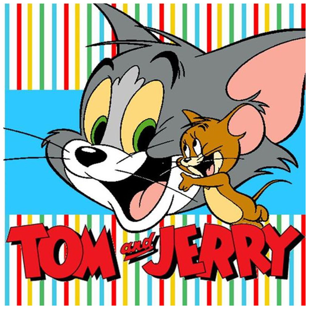 Tom and Jerry 30x30cm(canvas) full round drill diamond painting