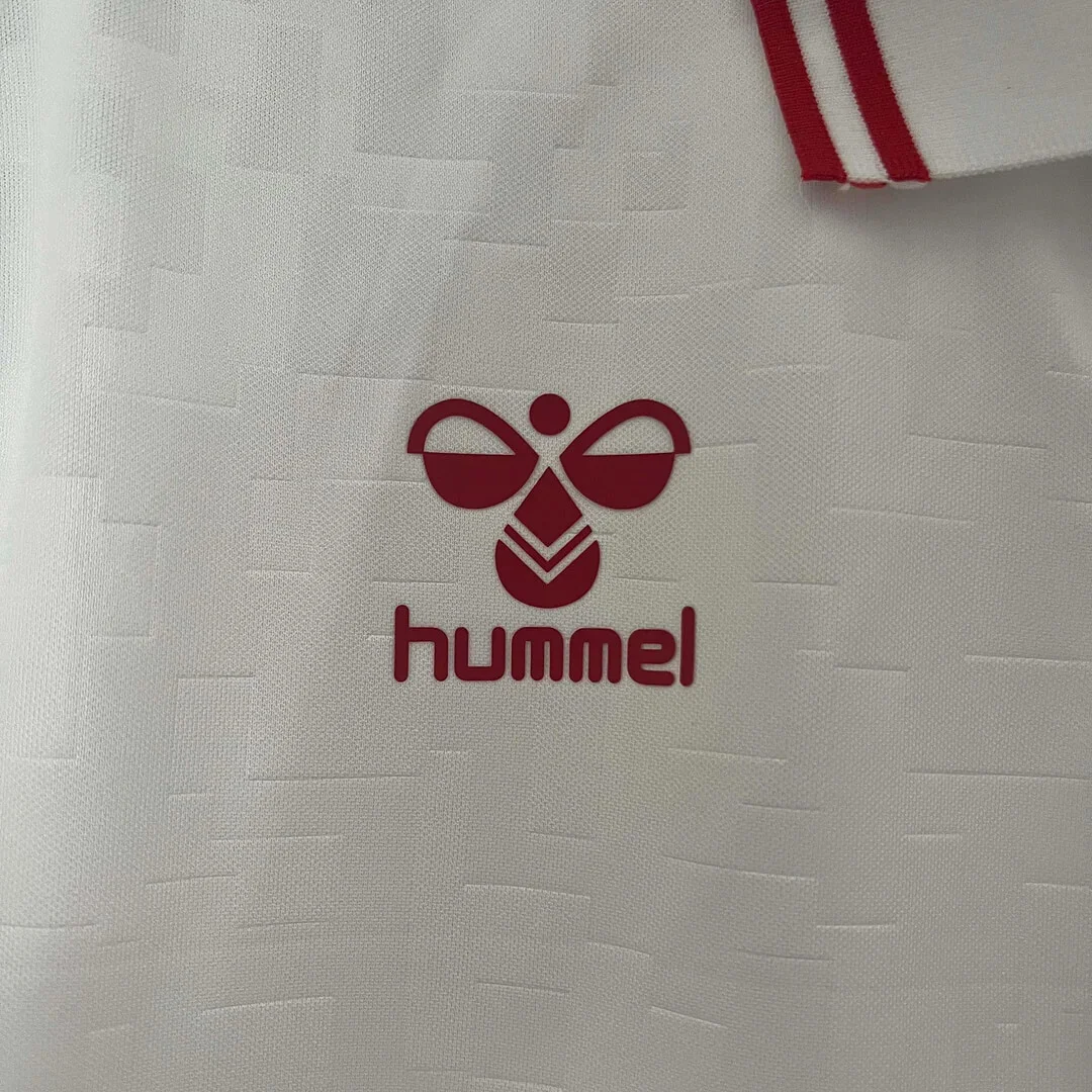 2024 Denmark National Team Away Football Shirt 1:1 Thai Quality