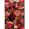 (US Only)Rose Printed Cross Stitch Kit 50x74cm DIY 11CT Thread Art Needlework Home Art
